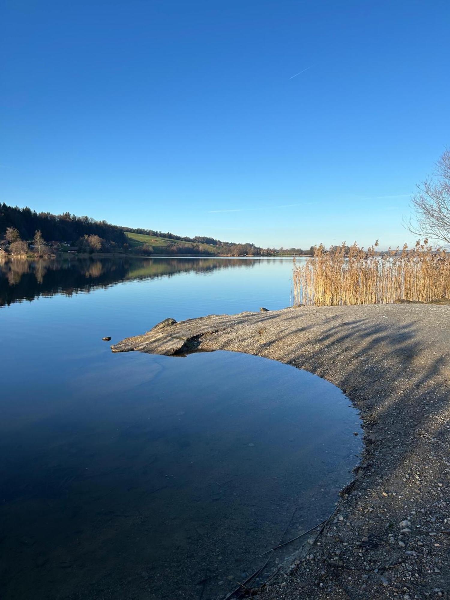 Ferienwohnungen Am See Obertrum am See Exteriör bild